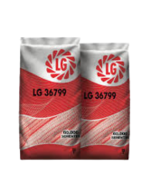 LG-36799